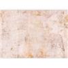 murando Carta da parati Calcestruzzo 500x350 cm Fotomurali in TNT Murale alla moda Decorazione da Muro XXL Poster Gigante Design Carta per Pareti Soggiorno Astratto Pietra beige a-A-10109-a-b