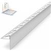 Dalsys Cuneo pendenza 98cm x 10mm destra Argento acciaio inox | Profilo per doccia a filo pavimento calpestabile, transizione verso piastrelle o gres porcellanato, inossidabile