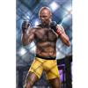 Iron Studios UFC statuette 1/10 Deluxe Art Scale Anderson Spider Silva - Signed Version 22 cm