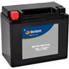 TECNIUM Batería Tecnium BTX12-BS (Sustituye 4830)