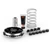 BRIXIAMOTO MALOSSI 5118750 Variatore MULTIVAR 2000 compatibile con BMW C 400 GT/X, VOGE SR4 MAX