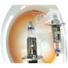 CARALL 2 Pezzi Lampade Alogene 12V Bianche ad Effetto Xenon (H1 12V 55W P14.5s +50% Luminosita)