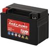 Fiamm Batteria per Moto e Scooter FTX9-12B 8AH 110A, Batteria Easy Rider AGM Technology, Massima Potenza di Avvio,Senza Manutenzione, Già Carica, Pronta all'Uso, Adatta a Scooter, Moto, Moto d'acqua