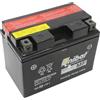Generico CTZ12SBS BATTERIA MOTO SILVER WING 400 600 1000 XL 650V TRANSALP 650 VFR 800 CBR 1000