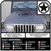 Grafic Adesivo STELLA militare consumata cm 50 x SUV (BIANCO)