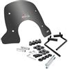 AER MOTO SPARE PARTS FACO CUPOLINO BASSO FUME PER PIAGGIO VESPA GTS 125/300 ANNO 2023
