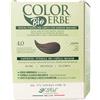 Colorerbe Multipack 6x TINTURA COLOR ERBE BIO CASTANO (4.0)-Colorazione Permanente in Gel-Senza Ammoniaca,Resorcina,Parabeni-Copertura Ottimale Capelli Bianchi-Nutre-Protegge-Illumina-MadeInItaly