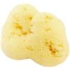 Cose della Natura Spugna Naturale di Mare Fine Dama Sbiancata 8/10 gr - EXTRA SOFT - CORPO