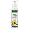 RAUSCH Hair Spray flessibile non Aerosol, 1er Pack (1 X 150 ML)