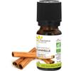 Fleurance Nature Aceite Esencial canela BIO 5 ml