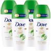 Dove Deodorante Go Fresh Roll-On Cetriolo e Tè Verde 48h 0% Alcol Antitraspirante Idratante Profumo Fresco - 4 Flaconi da 50ml