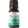 ZEN ANIMA NATURALE My Benefit - Olio Essenziale Zen, Menta Arvensis da Tradizione Giapponese, 10 ml, Olio di Menta Puro e Naturale al 100%. Oli Essenziali per Diffusori, Massaggi e Aromaterapia.