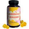 Ollywell Mushroom Gummies - 180g - 60 pezzi - Caramelle gommose ai Funghi Funzionali - Con Lion's Mane, Reishi, Cordyceps e Chaga - Adattogeni per Immunità e Concentrazione - Gusto Ananas - Vegano