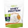 WHY NATURE WHEY PROTEIN - Proteine Whey - Proteine in Polvere per la Massa Muscolare - Senza Glutine - 300 gr (Cioccolato)