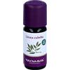 TAOASIS Litsea cubeba ätherisches Öl, 10 ml Olio eterico