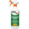 Bauchem Moldoff Risanante Murale ad Azione Preventiva e Curativa Contro la Muffa 750 ml