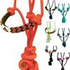 Majestic Ally Capezza imbottita in corda intrecciata con perline e guinzaglio abbinato da 25,4 m (rosso)