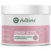 AniForte Junior Active Integratore per Cuccioli e Cani Giovani 250g - per Ossa, Denti, Tendini, Legamenti e Articolazioni, con Calcio, Cozze Verdi, Collagene, Vitamine e Minerali