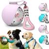 YJWZ Borraccia per Cani Portatile 285ml in Acciaio Inox 304 con Ciotola Pieghevole in Silicone, Borraccia Cane Anti-Goccia con Moschettone, Ideale per Passeggiate (Stampa con fiocchi rosa)