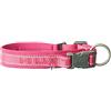 Hurtta Collare per cani casual ECO sostenibile (35-45 cm, Ruby)
