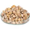 Garnelio, confezione di gasteropodi da 50 g, sostituzione di alimenti vivi, per pesce palla, cobitidi, ciclidi e granchi (etichetta in lingua italiana non garantita)