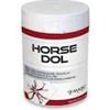 MASC Horse DOL - Gel con Artiglio del Diavolo 250 ml