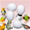 DummyEggs Uova finte in plastica per Pappagallo Che smettono di covare la deposizione! 4 Uova finte Bianche atossiche e realistiche per conuro (Non guancia Verde), caicco, Anello Indiano, Marchio USA