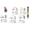BLUSUPERSHOP PETTORINA PAPPAGALLI regolabile MISURA cacatua rosa roseicapilla COLLO 3mm elastica E nastro 10mm, 2 attacchi METALLO GUINZAGLIO 3mm nero 1M