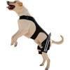 Générique Ginocchiera per cani - Manico articolare regolabile | Stecca posteriore per cani con 4 stabilizzatori in metallo - per passeggiate, escursioni, attività all'aperto, spiaggia, viaggi casa