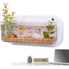 Generico Ciotola di pesce per parete, serbatoio di pesce a parete, Vaso fiorito montato a parete, Ciotole di pesce d'acquario compatto decorativo per camera da letto, cucina, appartamento, dormitorio