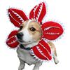 ceepdoogle Cappello per cani e gatti per costume di Halloween Demogorgone, cane e gatto, costume di Halloween, accessorio per travestimento fai-da-te, ceepdoogle, costume cosplay Demodog, cappello per la testa