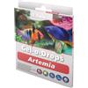 Dupla Gel-O-Drops Artemia I 12 x 2 g, mangime per pesci gelatina con artemie adulte, mangime per pesci ornamentali facilmente dosabile, mangime ricco di sostanze nutritive per acquario, conservabile
