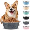 Aappping Gamelle Personnalisée Pour Chien Chat Inox,Gravure Laser Texte Prénom Ou Date Gravé, Grande Et Petite Taille Chien Accessoires Cadeau Pour Chiens, Chat Compagnie (Cyan, L)