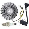 UYTGFO Adatto for motosega Stihl MS251 MS 251C 1143 400 1203 Kit bobina di accensione volano candela