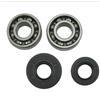 UYTGFO Adatto for motosega tipo ZENOAH 4500 5200 5800 45cc 52cc 58cc Kit di cuscinetti a sfere scanalati for paraolio albero motore for motosega, accessori da giardino