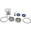 UYTGFO Adatto for parti di motosega STIHL 025 MS250 MS 250 Kit di anelli for spinotto pistone da 42,5 mm, cuscinetto ad aghi, paraolio, set di cuscinetti a sfere for albero motore