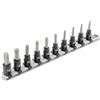 TEKTON Set di chiavi a bussola Torx da 3/8 con binario, 10 pezzi (T20 - T60) | SIB91103