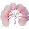 C.X.Y. 100pz Racchette Tulle Porta Confetti Per Segnaposto Bomboniere Fai Da Te (ROSA)