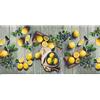 WohnDirect Tappeto da Cucina per Interni Fino a 10 m di Lunghezza - 100% Poliestere - Tappeto Cucina Antiscivolo - Facile da Lavare - 50 x 150 cm