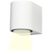 Partenopea® Applique lampada da parete a muro per lampadine LED gu10 potenza max supportata 10w per interno esterno IP54 moderno faretto monoemissione (Curvato, Bianco luce naturale 4000k)