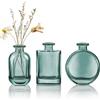 Joeyan Piccoli Vasi in Vetro Set di 3 - Vasi Monofiore Blu-Verde - Vaso da Fiori Decorativi per Decorazioni Tavolo, Balcone, Ufficio