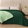 Caritex Copriletto Trapuntato Santorini per Letto Matrimoniale, in Microfibra, Bicolore e Reversibile - Trapuntino Primavera e Autunno - 260x260 cm M608 [Verde Scuro - Verde Chiaro]