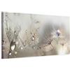 murando Quadro Soffione 150x50 cm 1 Pezzo - Stampa su Tela Strutturata XXL Grande - Quadri Moderni Soggiorno Grandi - Stampe da Parete Murale Arte Moderno Pittura - Fiori b-C-0169-b-b