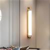 RXPVUXE Applique da parete moderna a tubo lungo, lampada da bagno dorata su specchio con paralume in acrilico satinato, lampada da parete Wabi Sabi per porta d'ingresso, oro antico, camera da letto, soggiorno