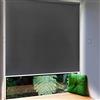 Froadp 100x240cm Tenda a Rullo Esterna, Tenda Avvolgibile Oscurante con Morsetti e Catenella, Privacy Tenda Riflettente con Funzione Termica, Protezione Solare Tenda per Finestre e Porte(Antracite)