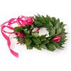 coronedilaurea.com Corona di alloro fresco creata a mano in Italia | Corona lauream con foglie naturali e fiocco in raso | Tradizionale corona d'alloro per cerimonia laurea e festeggiamenti ! Royal fucsia