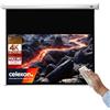 Celexon Leinwand Motor Economy 220 x 124 cm