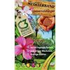 Mediterrano Lück's Original Mediterrano - Fertilizzante universale per piante mediterranee, banane, olive, limoni, palma di canapa, palme