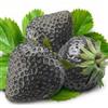 Generic Promione fragola gigante semi dolce fragola quattro stagioni, rare, fragrante, dolce & juicy - 200 pcs/lotto, JO9E8A Seeds ONLY