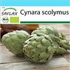 SAFLAX - - BIO - Carciofo - Imperial Star - 5 semi - Cynara scolymus